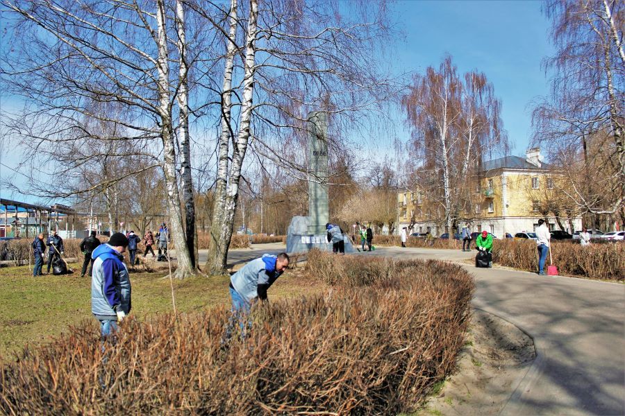 Metadynea Employees Held a Cleanup Day 